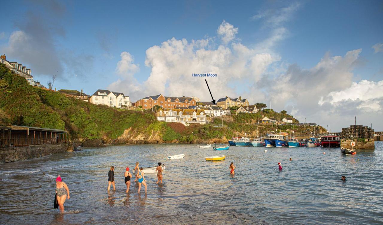 Harvest Moon Daire New Quay Dış mekan fotoğraf