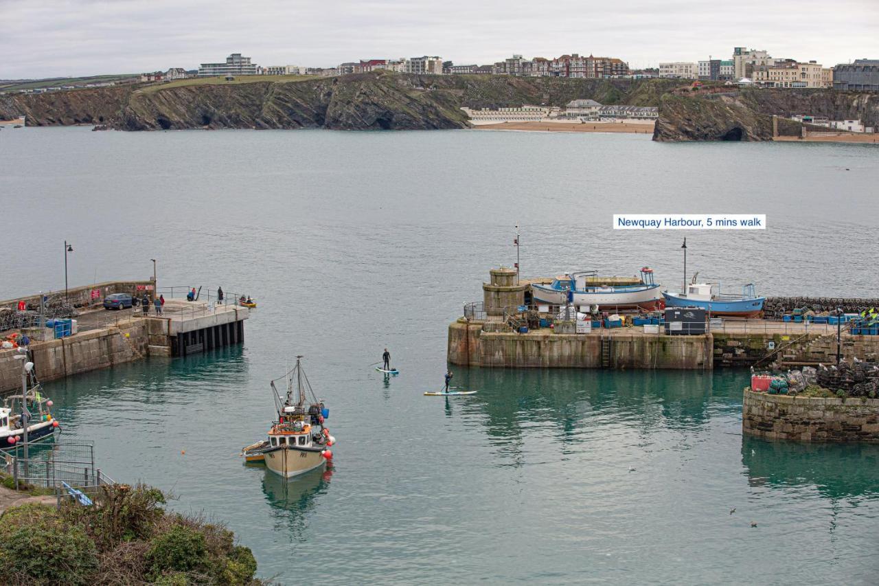Harvest Moon Daire New Quay Dış mekan fotoğraf