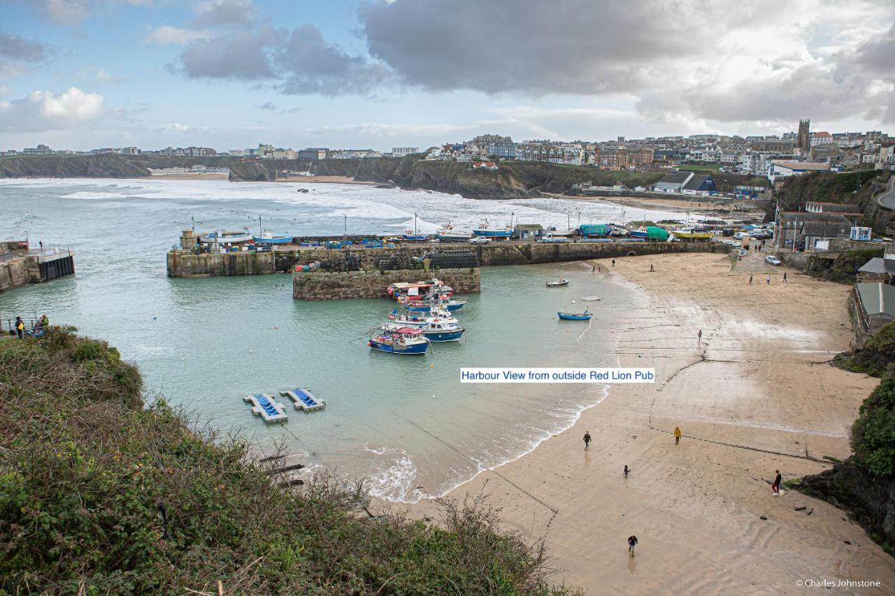 Harvest Moon Daire New Quay Dış mekan fotoğraf
