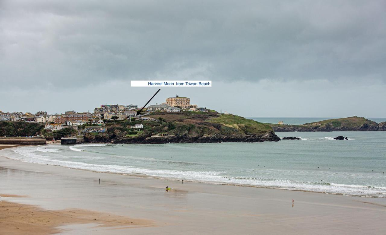 Harvest Moon Daire New Quay Dış mekan fotoğraf